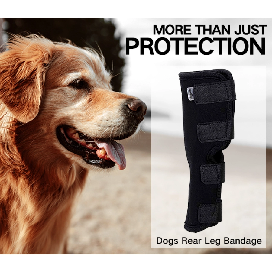 Lispoo Dog Hock Brace for Recovery