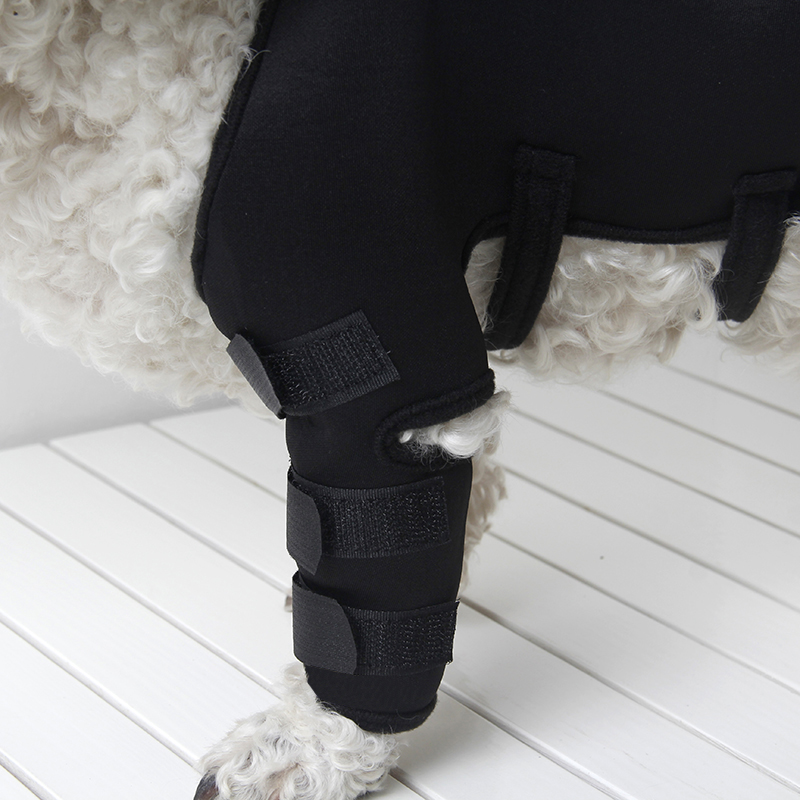 Lispoo Dog Leg Protection Sleeve for Wound Care