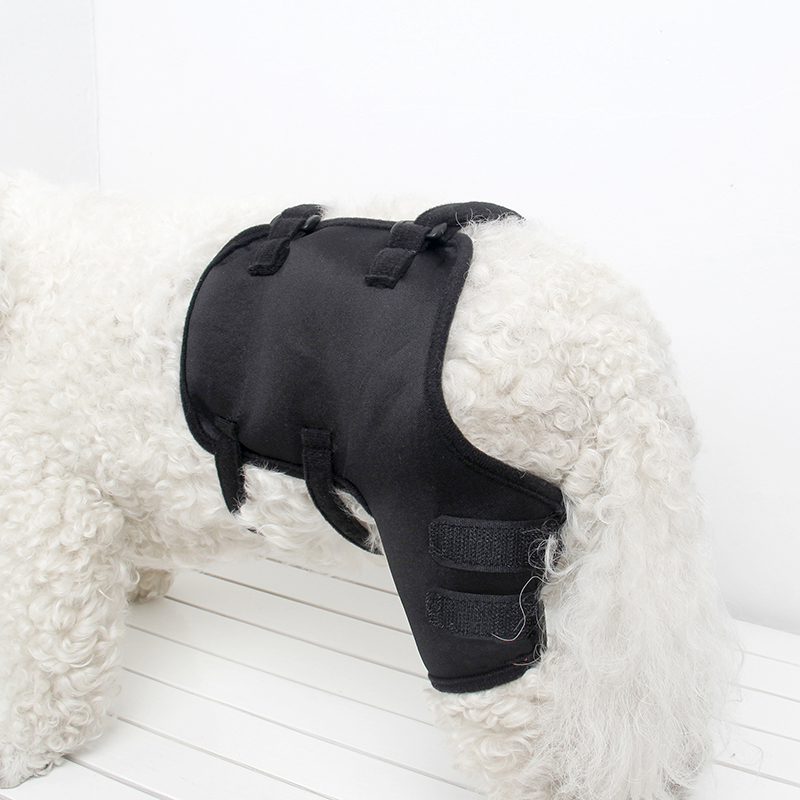 Lispoo Dog Leg Protection Sleeve for Wound Care