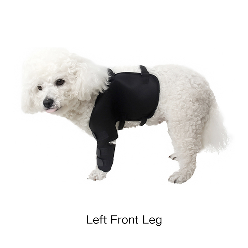 Lispoo Dog Leg Protection Sleeve for Wound Care