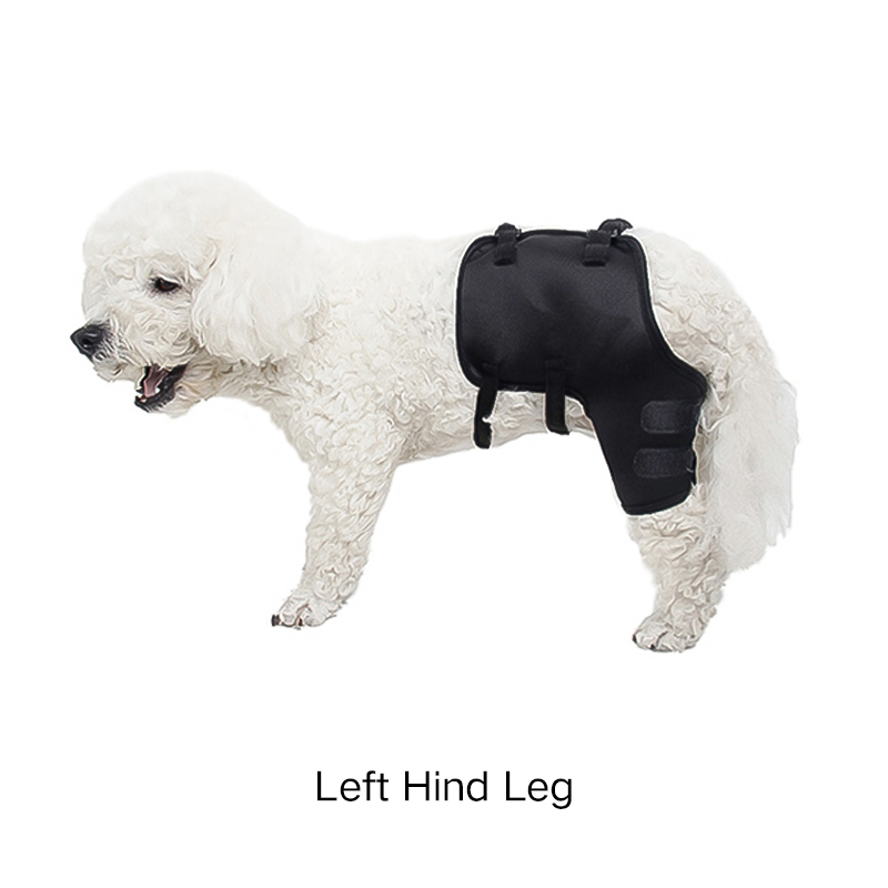 Lispoo Dog Leg Protection Sleeve for Wound Care