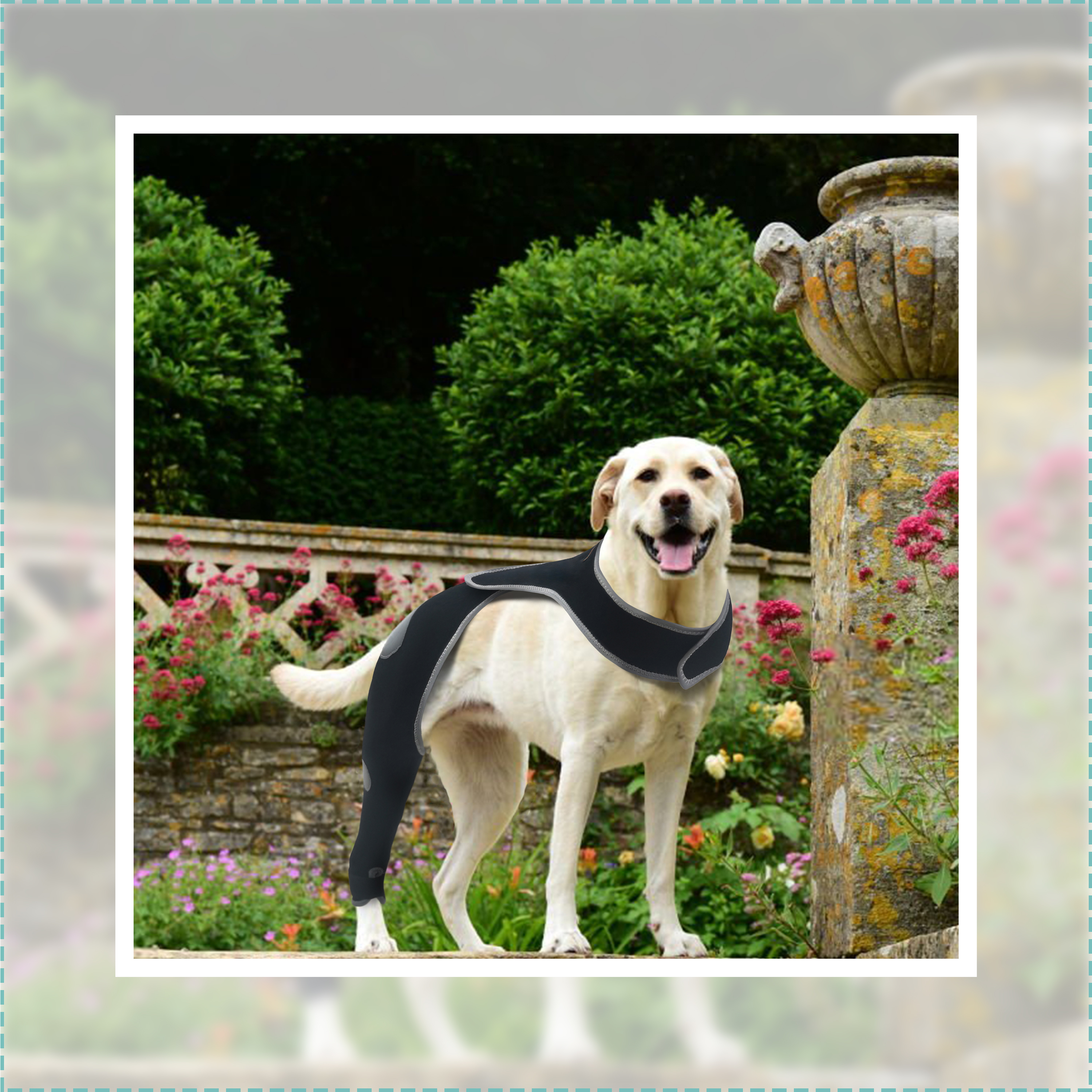 Lispoo Dog Rear Leg Lick‑Guard Sleeve with Reflective Straps