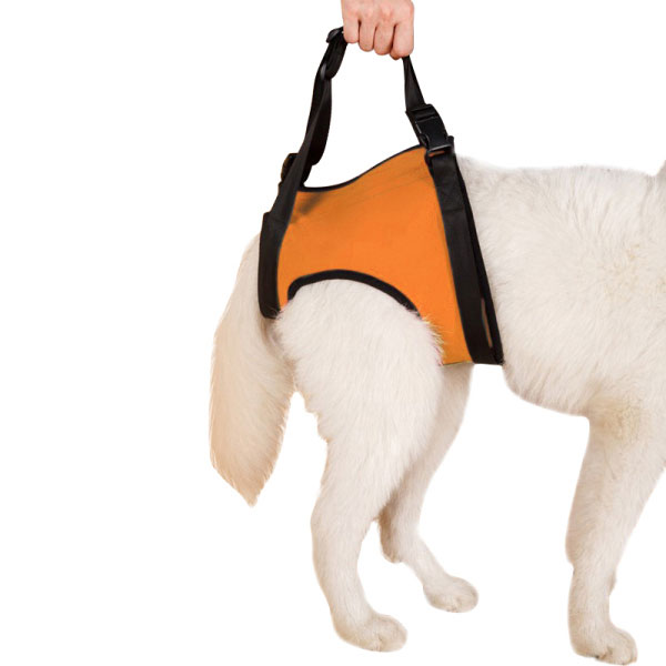 Lispoo Dog Rehabilitation Lift Harness for Front and Hind Legs