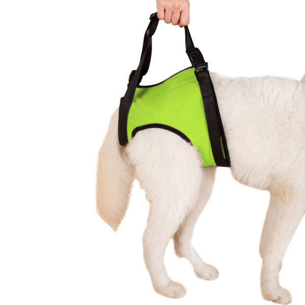 Lispoo Dog Rehabilitation Lift Harness for Front and Hind Legs