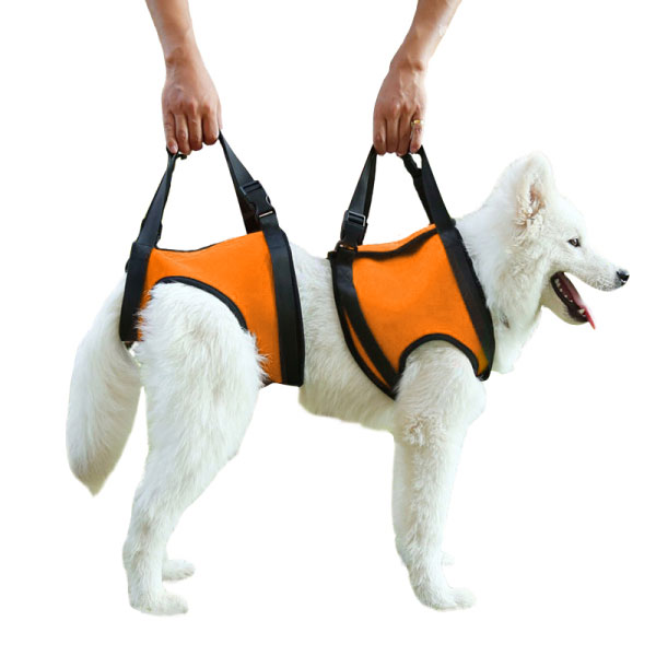 Lispoo Dog Rehabilitation Lift Harness for Front and Hind Legs