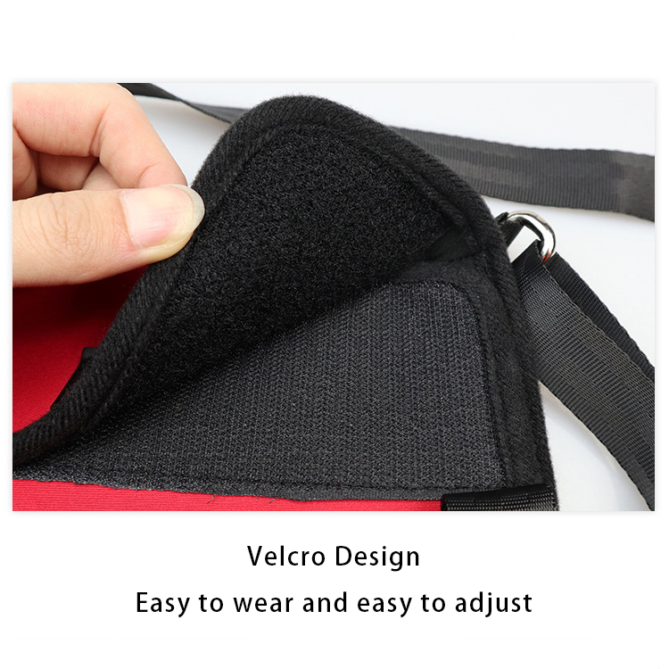 Lispoo Dog Rehabilitation Lift Harness for Front and Hind Legs