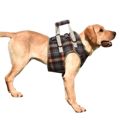 Lispoo Dog Lift Harness for Front Legs 02