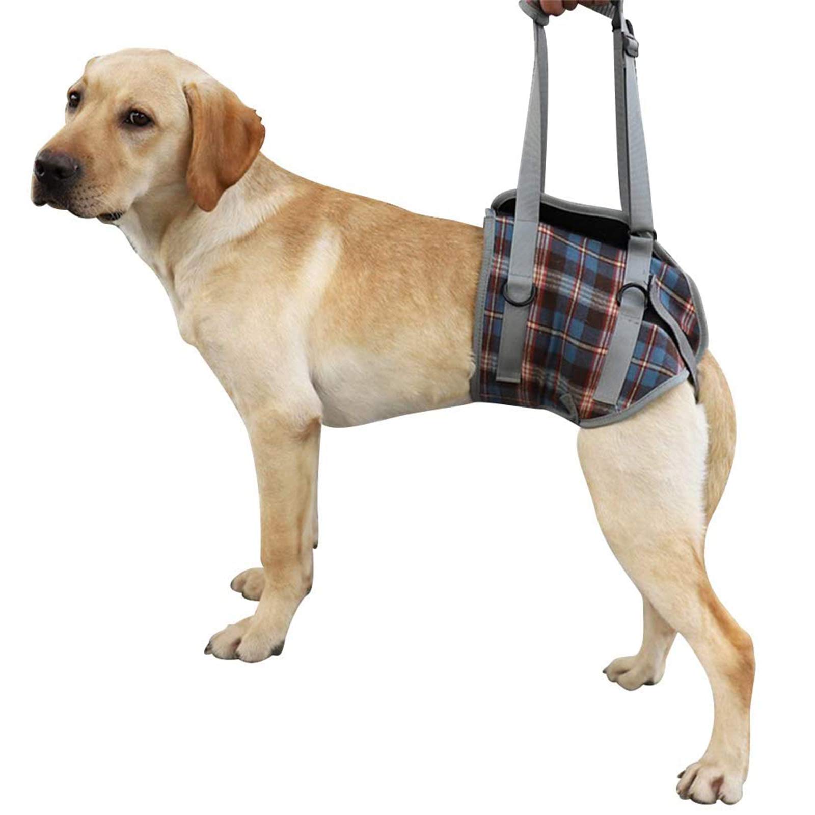 Lispoo Dog Mobility Lift Harness for Hind Legs 