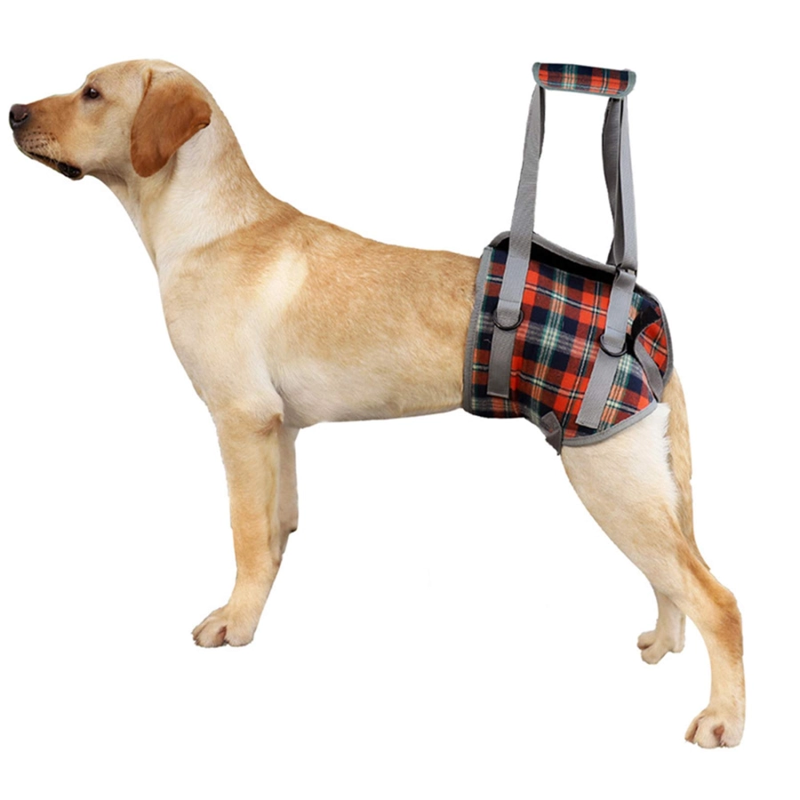 Lispoo Dog Mobility Lift Harness for Hind Legs 