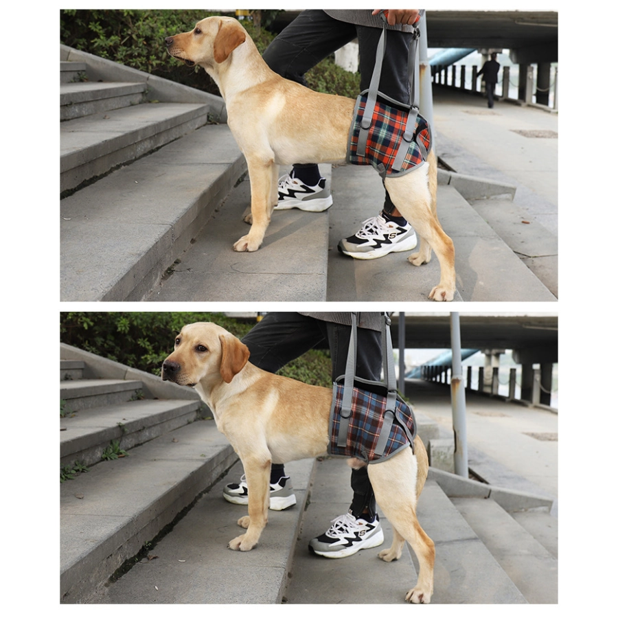 Lispoo Dog Mobility Lift Harness for Hind Legs 