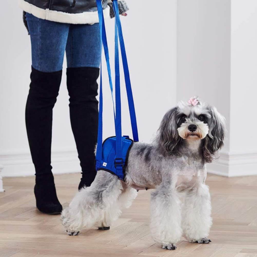 Lispoo Dog Rear-Leg Lift Sling  Support for Weak Hind Legs