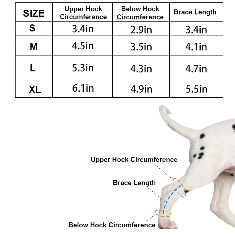 Lispoo Dog Hock Joint Brace for Pain Relief