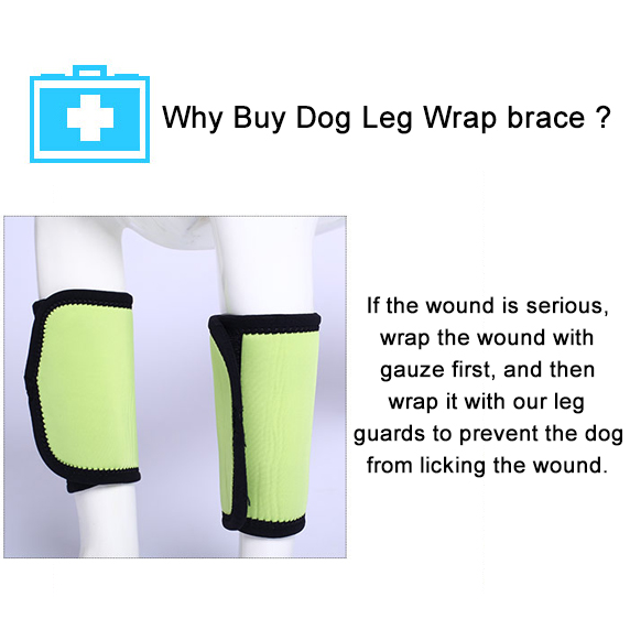 Lispoo Dog Leg Brace for Hock & Wrist Joint Support