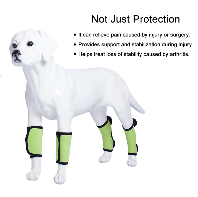 Lispoo Dog Leg Brace for Hock & Wrist Joint Support