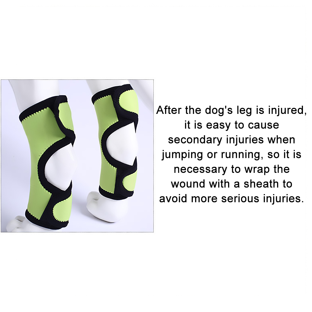 Lispoo Dog Leg Brace for Hock & Wrist Joint Support