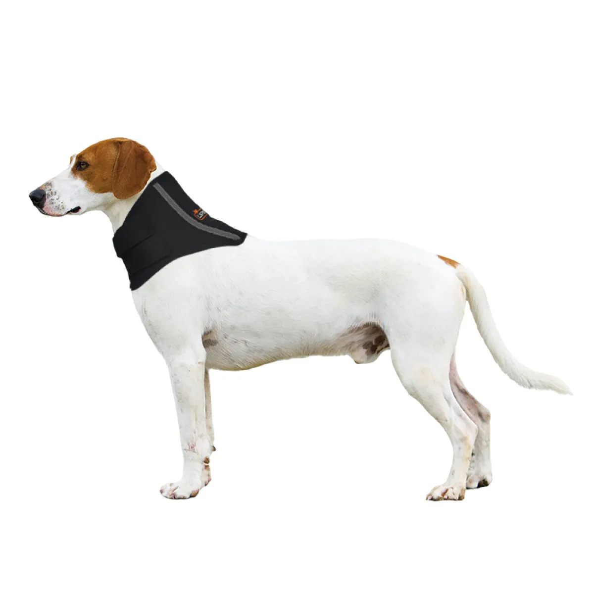 Lispoo Dog Neck Brace Collar  for IVDD & Neck Injuries
