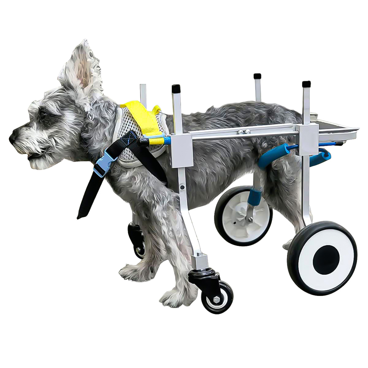 Lispoo Dog Mobility Cart Rear-Leg Wheelchair for Paralyzed/Weak Back Legs
