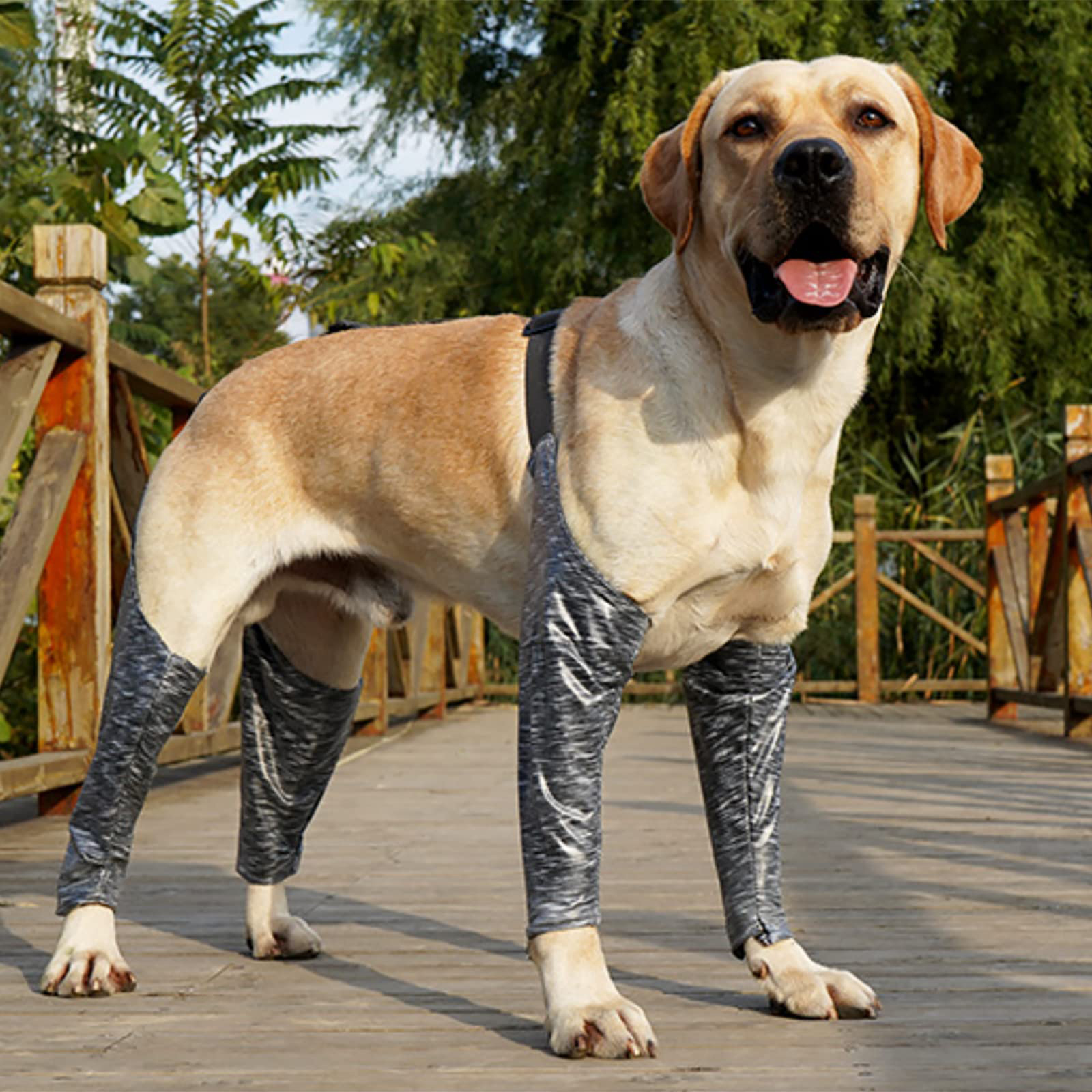 Lispoo Dog Leg Sleeve for Anti-Licking & Anti-Dirt Protection
