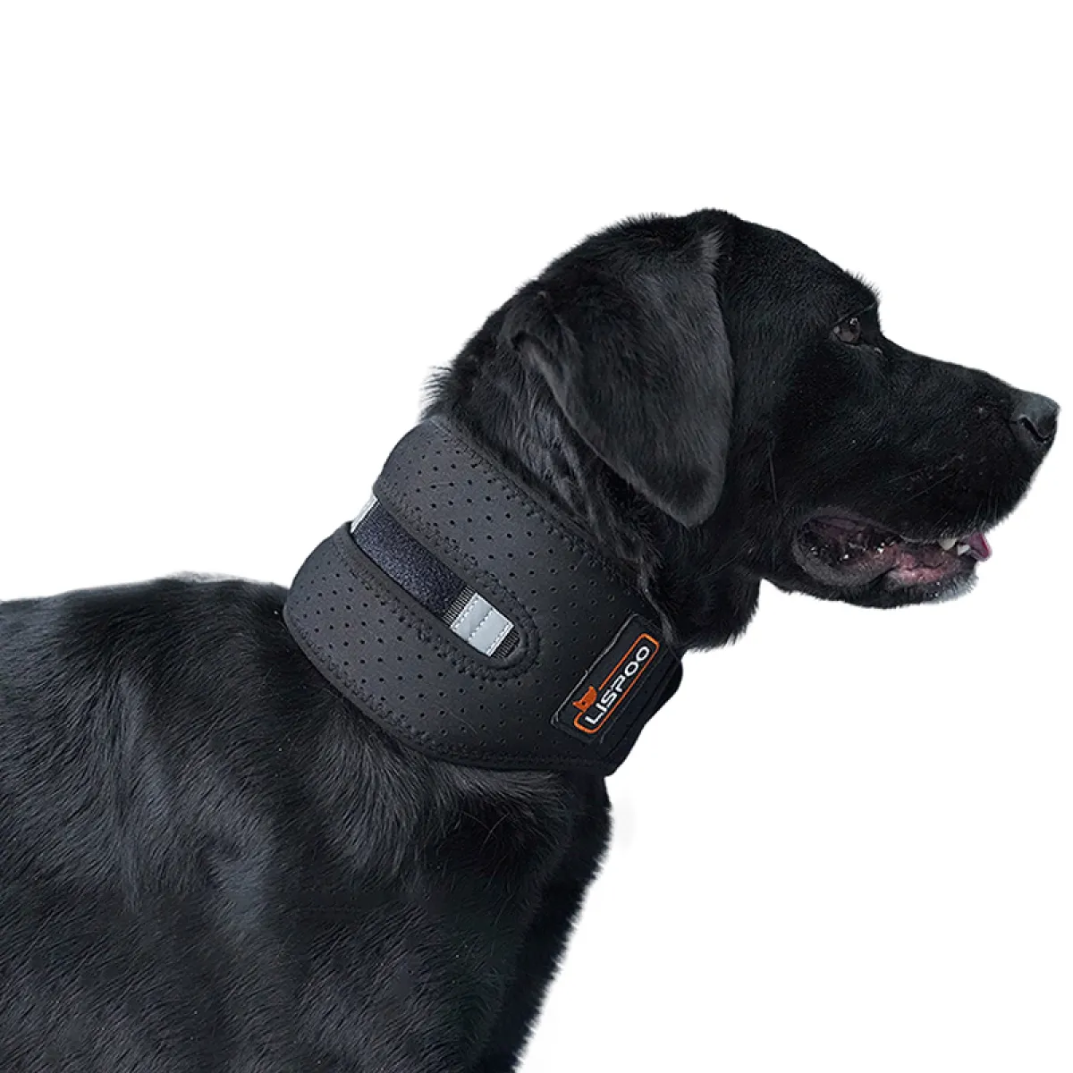 Lispoo Dog Neck Brace Collar