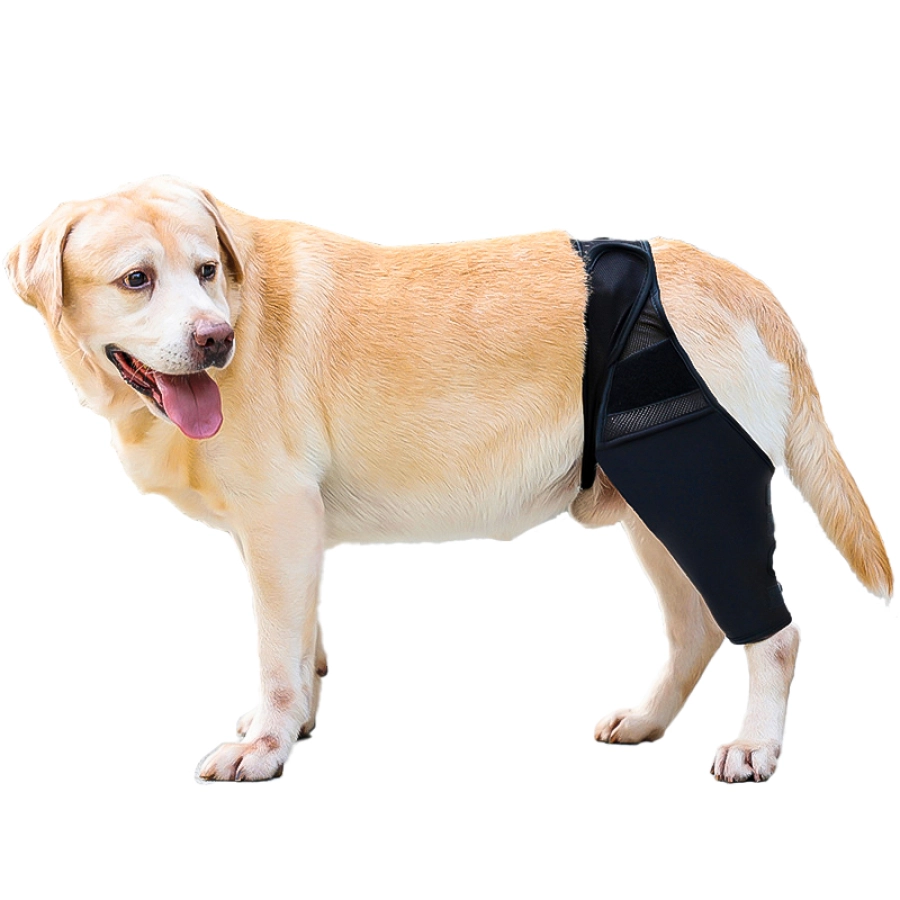 Lispoo Dog Rear Leg Brace for Patella Luxation