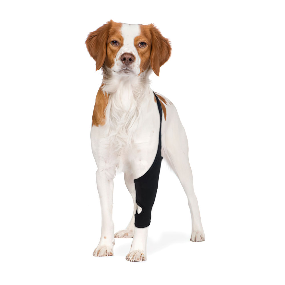 Lispoo Dog Rear Leg Brace for Patella Luxation