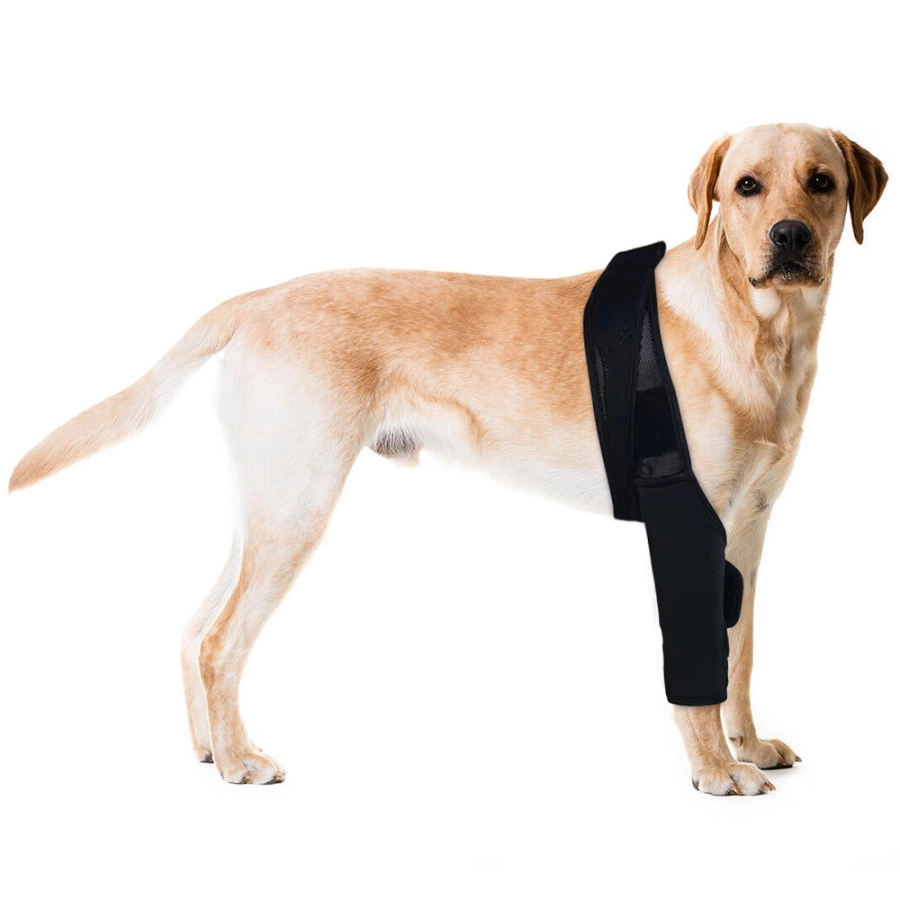 Lispoo Dog Rear Leg Brace for Patella Luxation