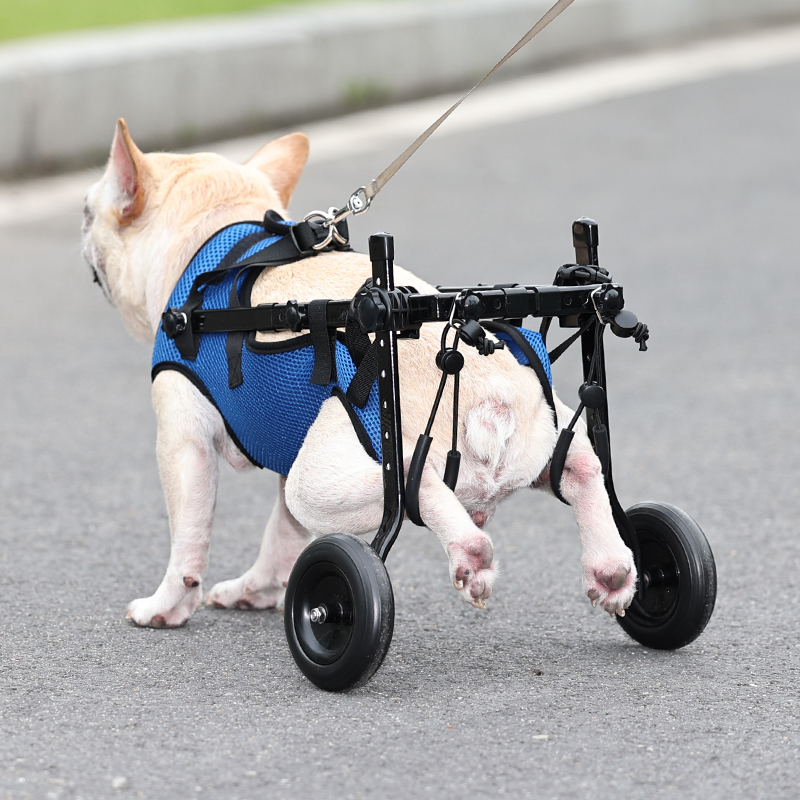 Lispoo Rear-Leg Dog Wheelchair with Vest Harness