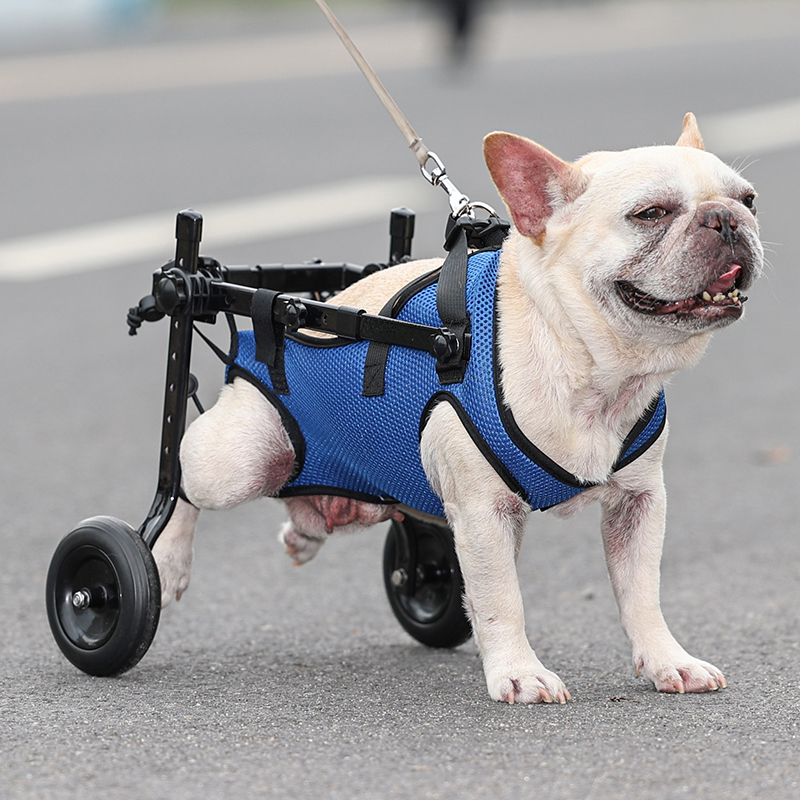 Lispoo Rear-Leg Dog Wheelchair with Vest Harness