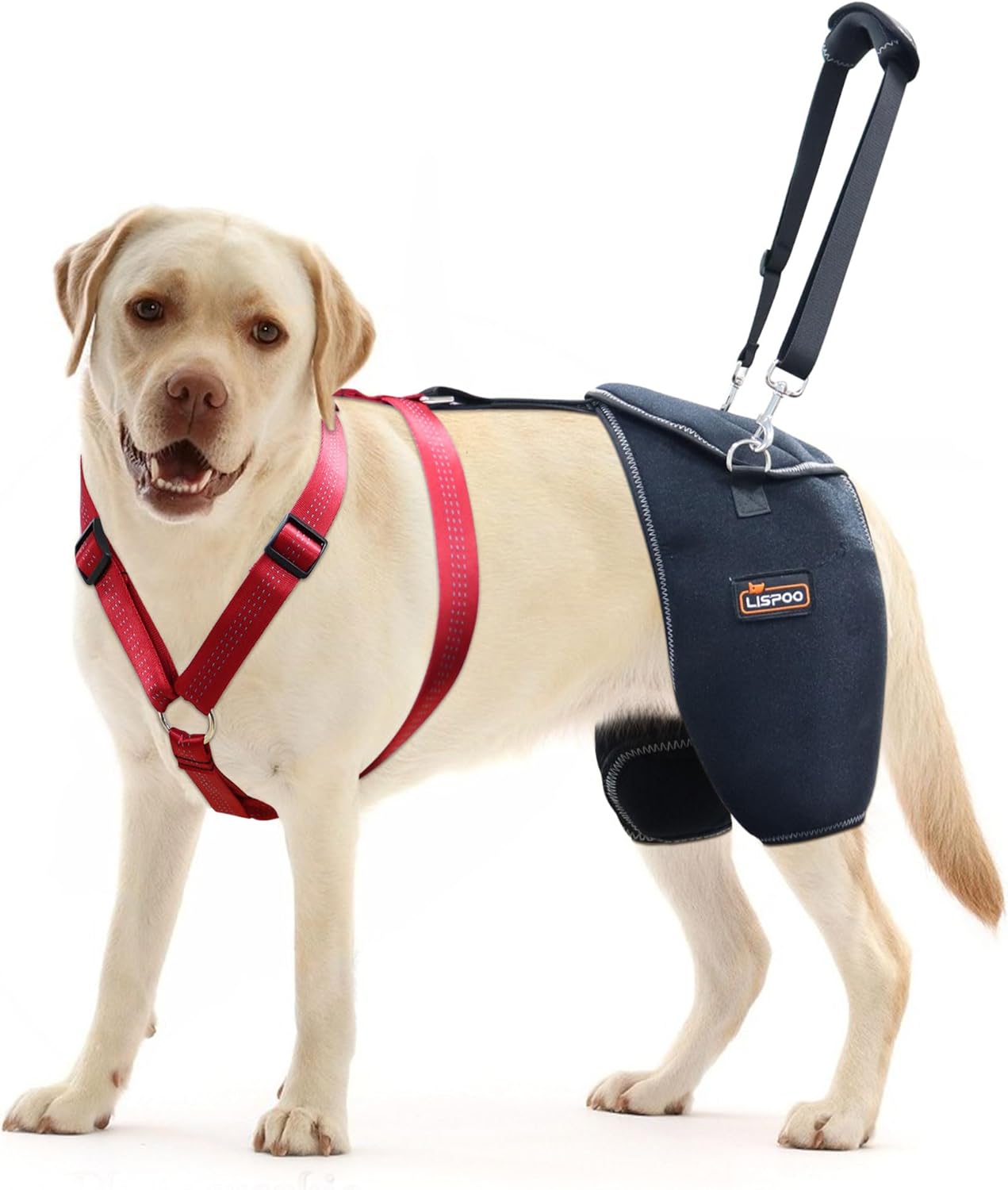 Lispoo Dog Hip Dysplasia Brace with Lift Handle