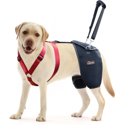 Lispoo Dog Hip Dysplasia Brace with Lift Handle 02
