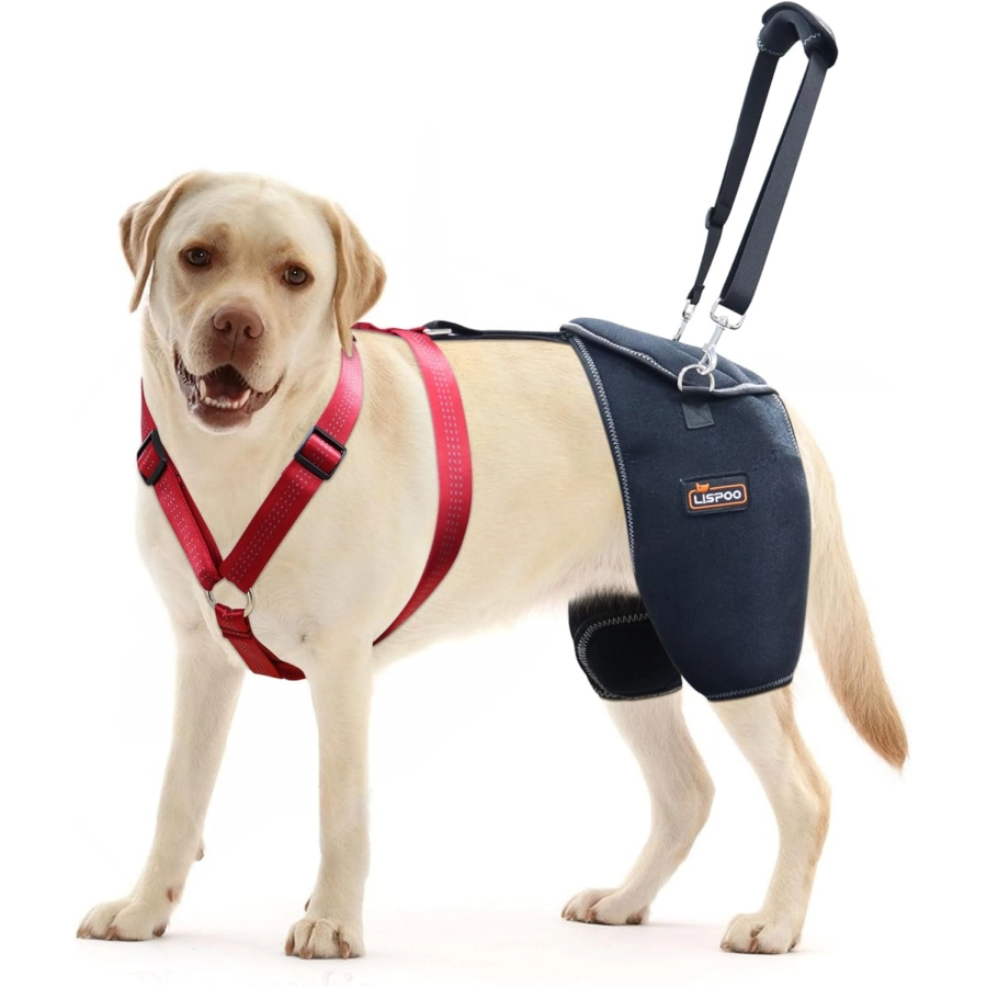 Lispoo Dog Hip Dysplasia Brace with Lift Handle