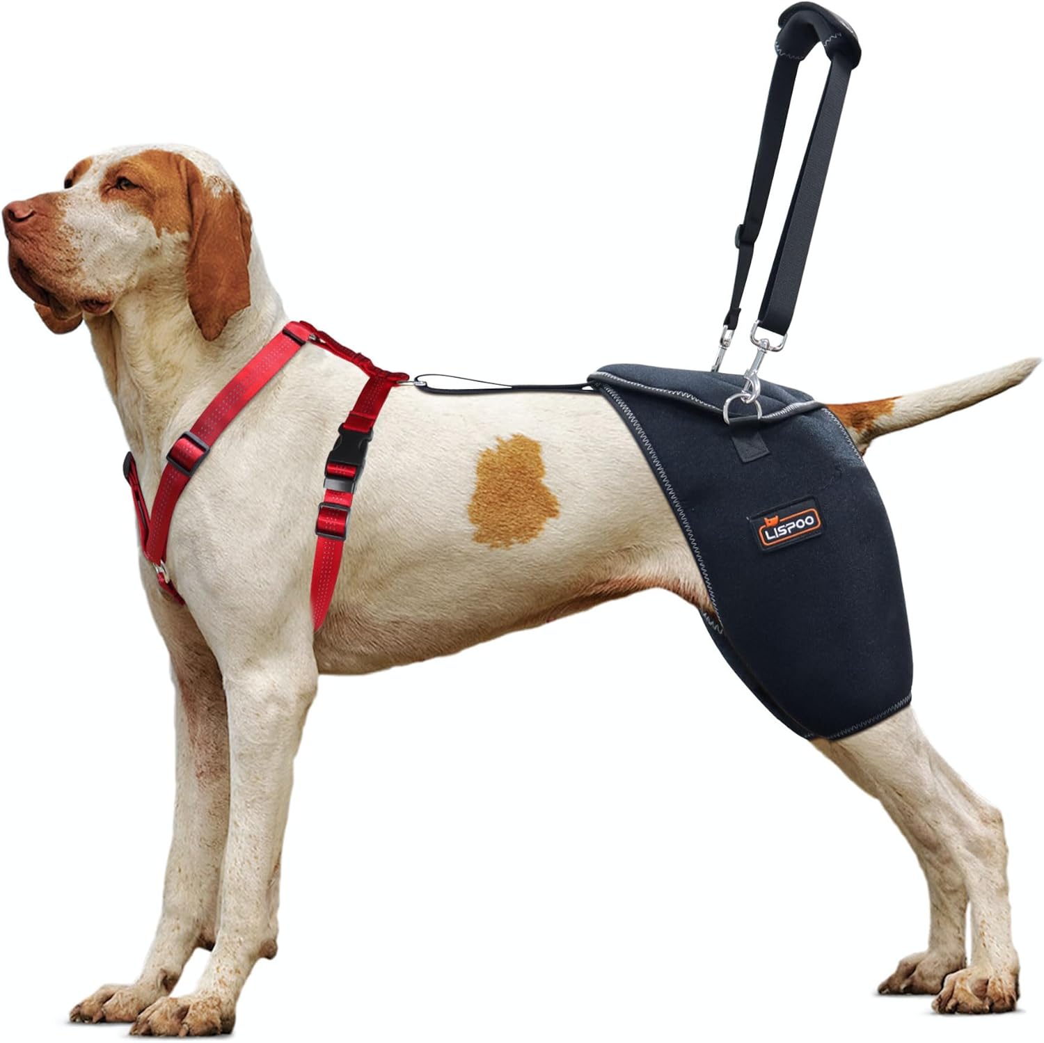 Lispoo Dog Hip Dysplasia Brace with Lift Handle