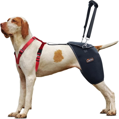 Lispoo Dog Hip Dysplasia Brace with Lift Handle 01