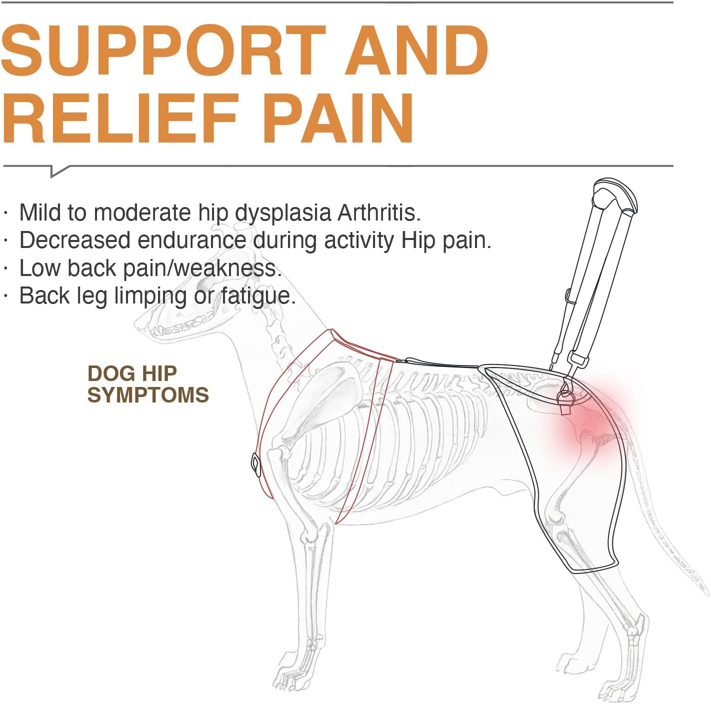 Lispoo Dog Hip Dysplasia Brace with Lift Handle