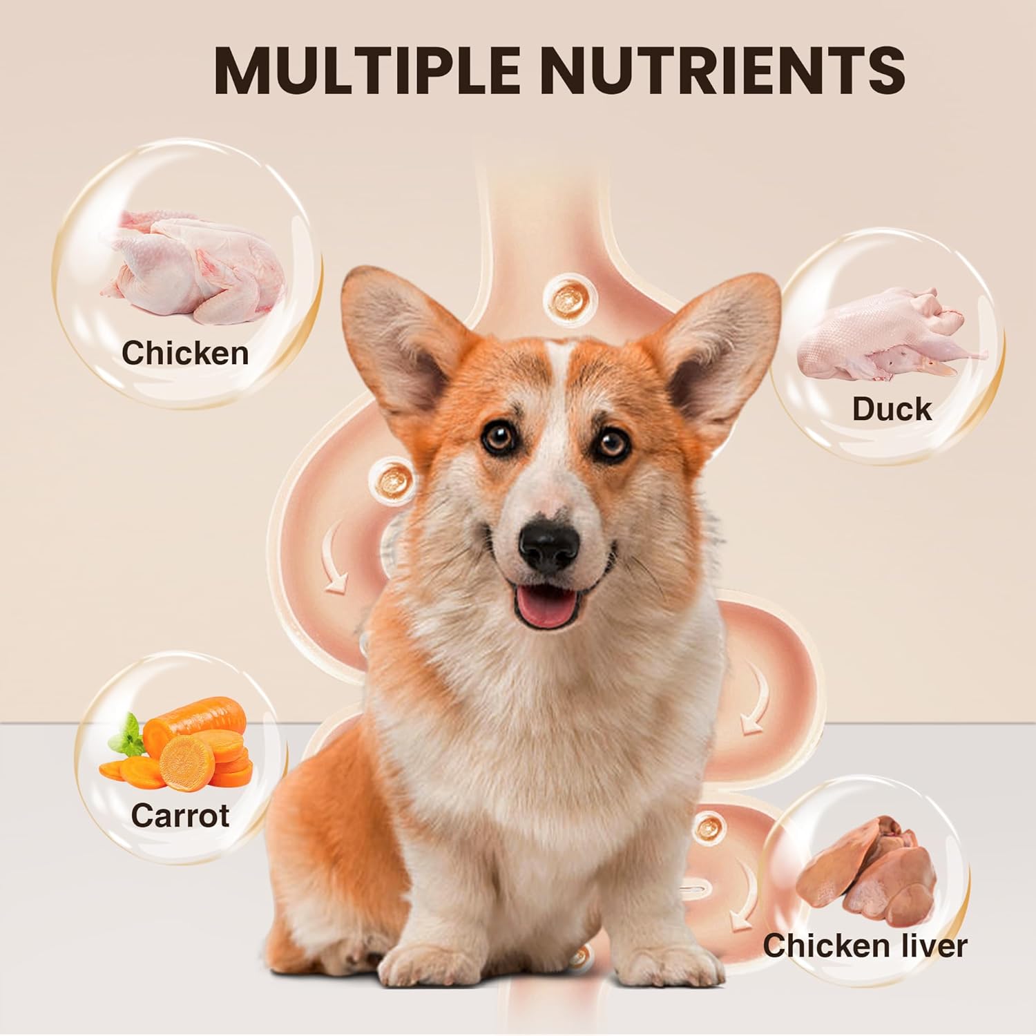 Lispoo Likable Chewy Relish Dog Dental Chews 5-in-1 Combo Kabob Sticks