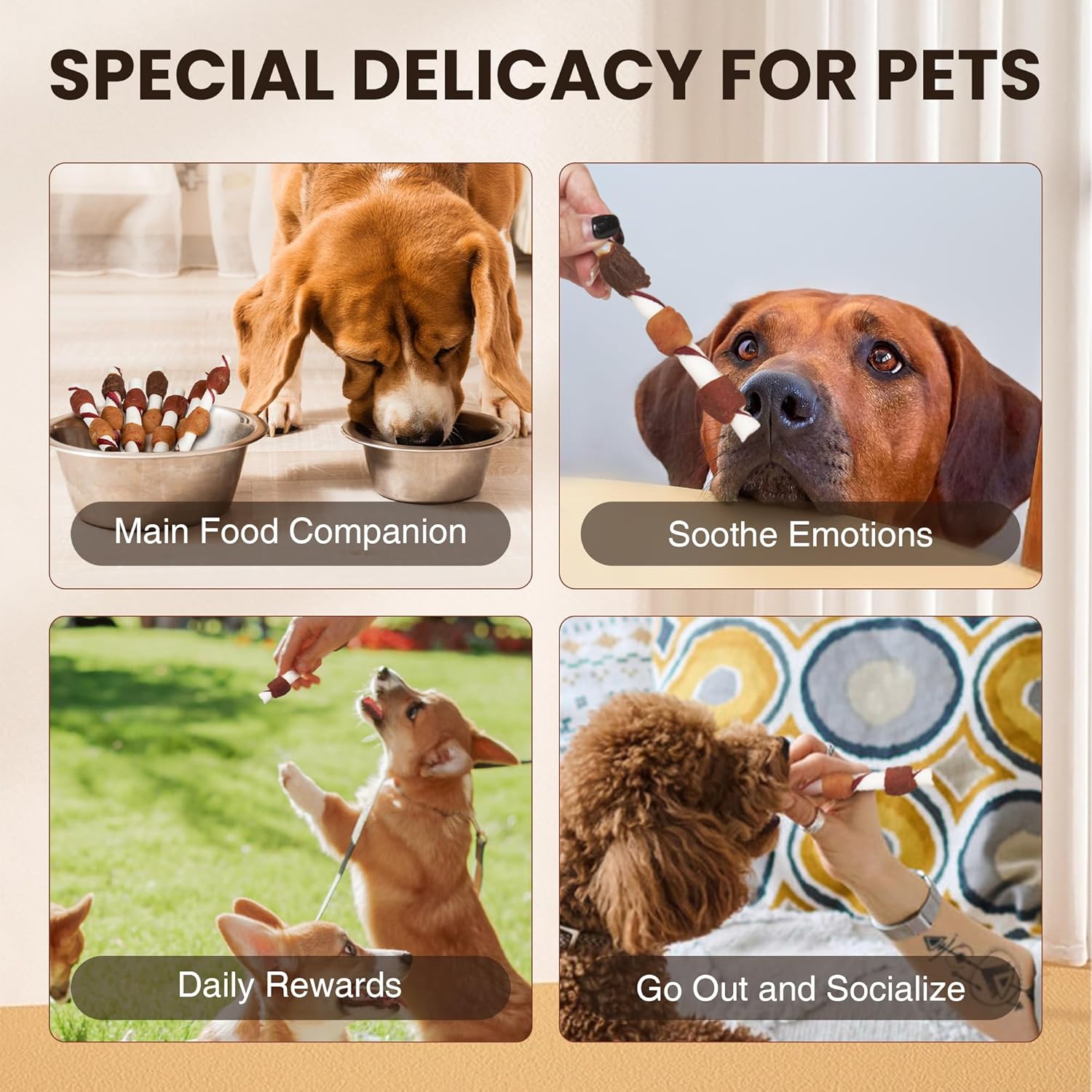 Lispoo Likable Chewy Relish Dog Dental Chews 5-in-1 Combo Kabob Sticks