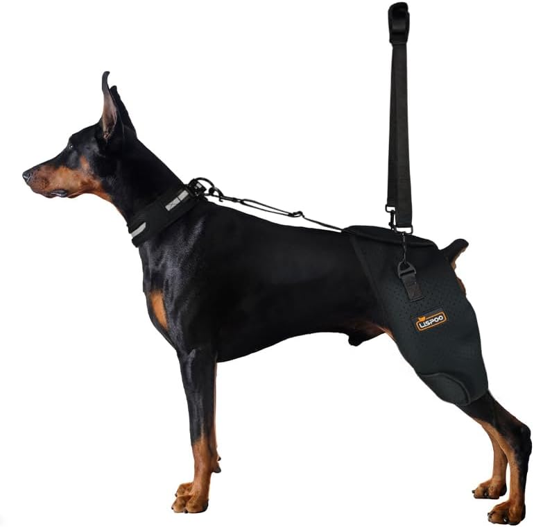 Dog Hip Support Harness & Rear Leg Lift 