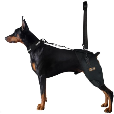 Dog Hip Support Harness & Rear Leg Lift  01
