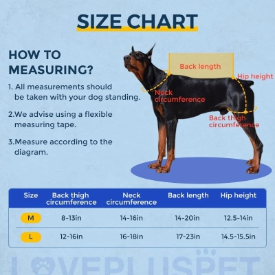 Dog Hip Support Harness & Rear Leg Lift  02