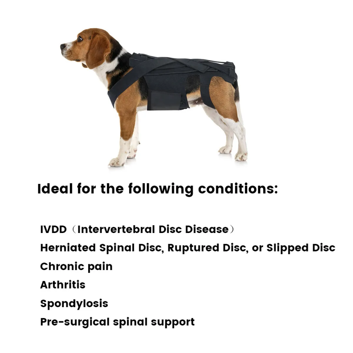 Lispoo Lightweight Dog IVDD Back Brace