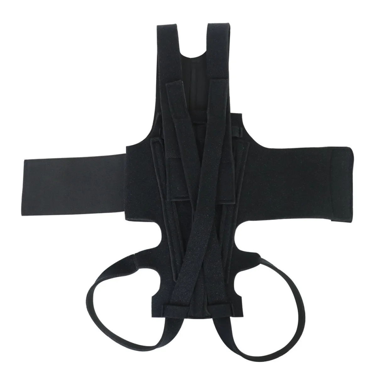 Lispoo Lightweight Dog IVDD Back Brace