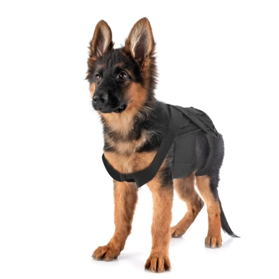 Lispoo Lightweight Dog IVDD Back Brace 01
