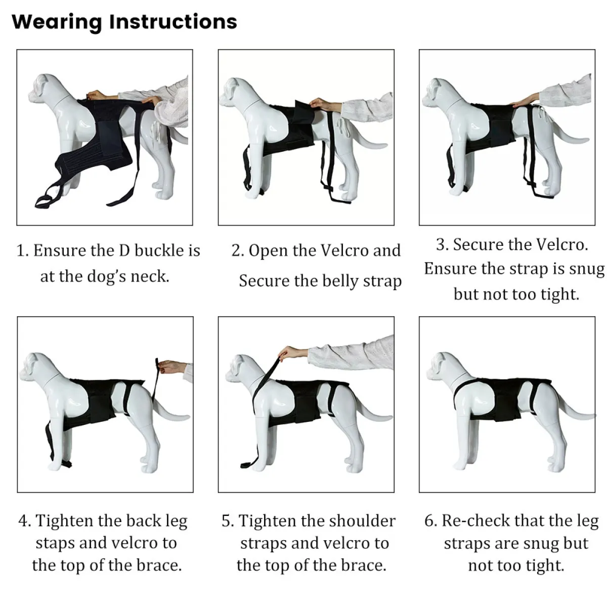 Lispoo Lightweight Dog IVDD Back Brace