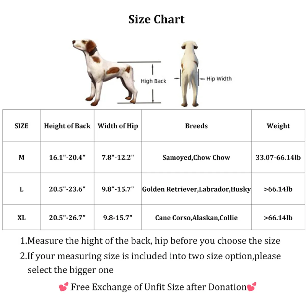 4 Wheel Dog Wheelchair for Medium Large Dogs