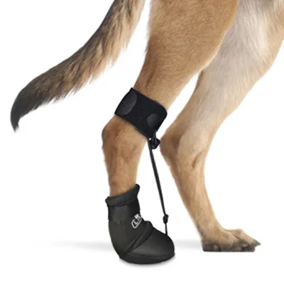 LISPOO Toe-Up Dog Boot Brace 02