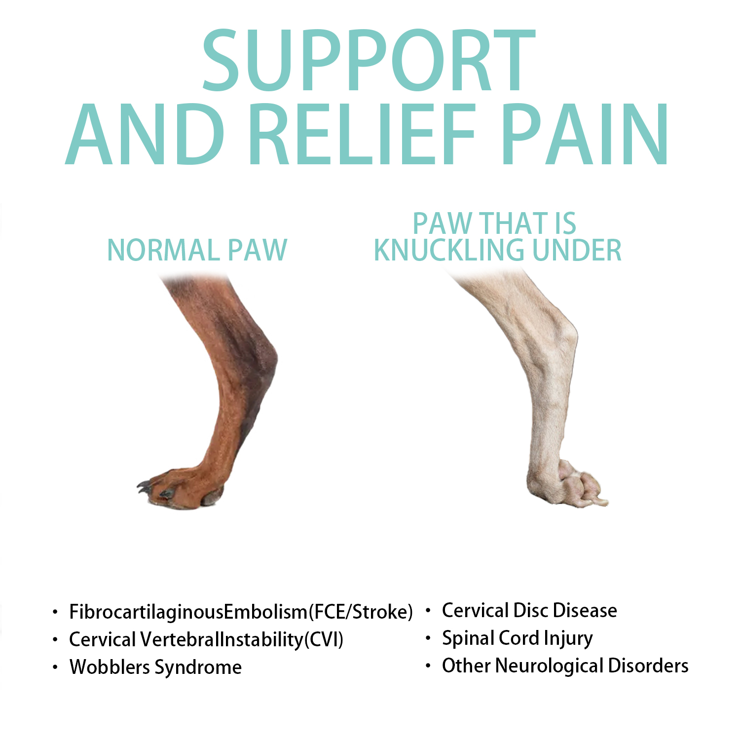 LISPOO Toe-Up Dog Boot Brace