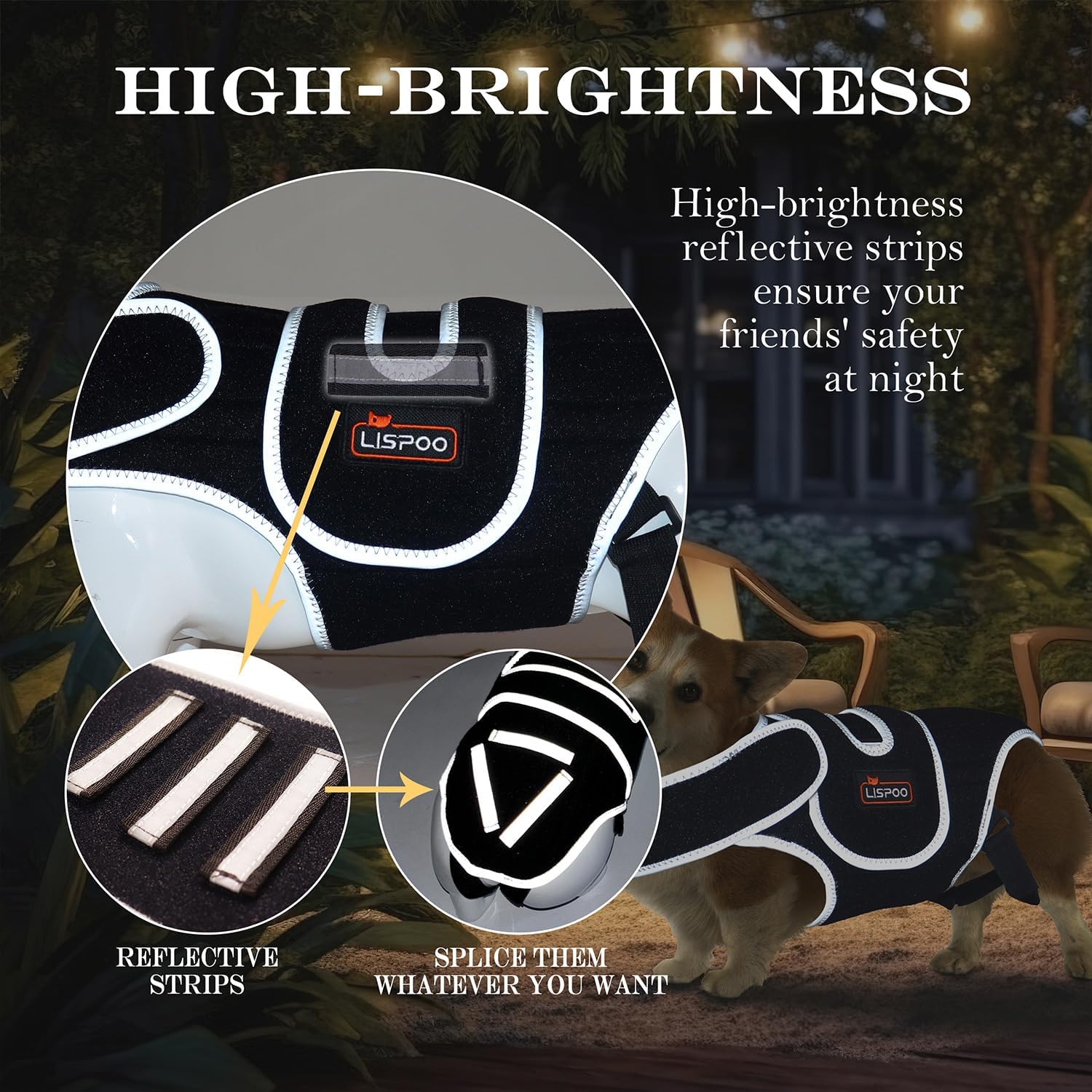 Lispoo Dog Back Brace for IVDD & Spine Support