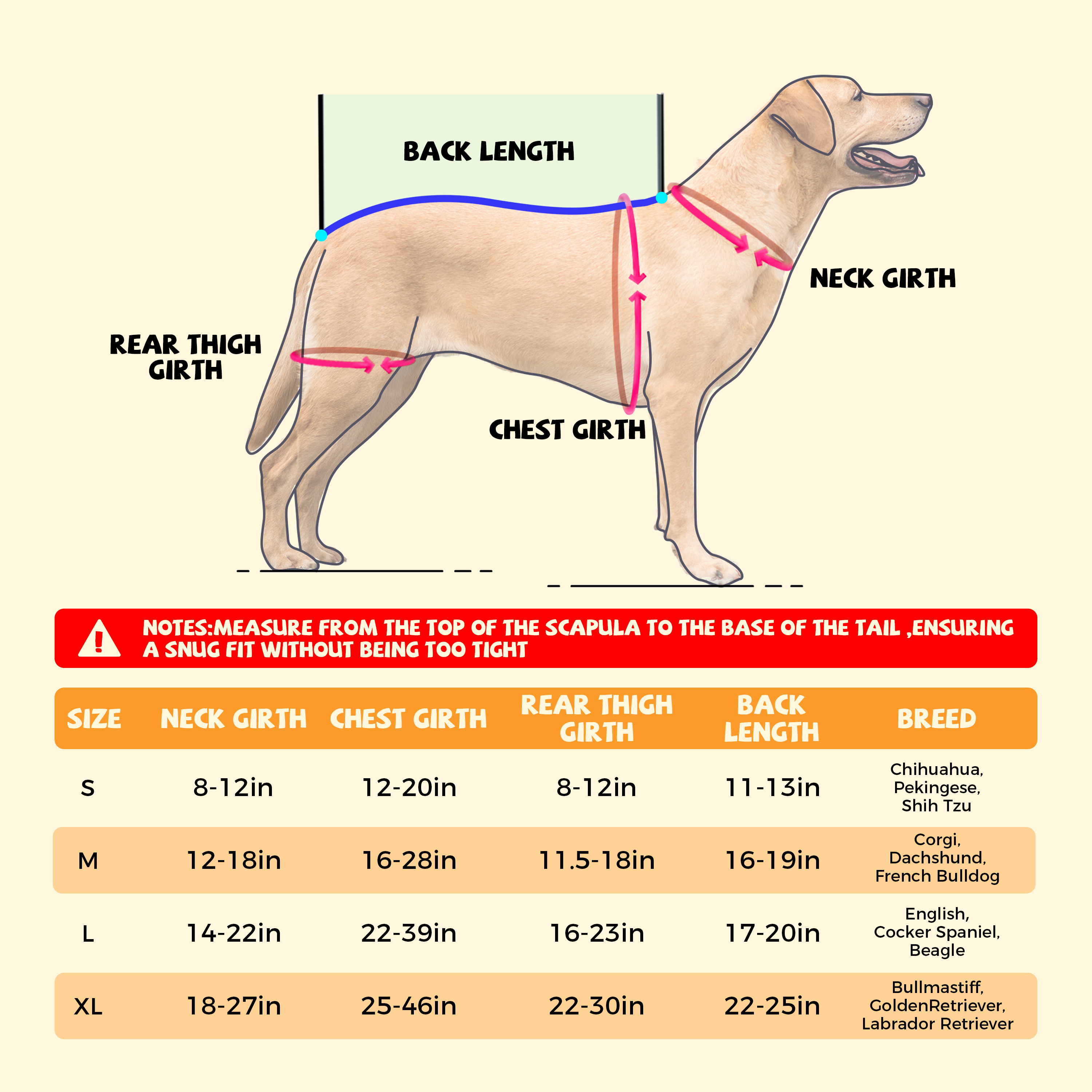 Lispoo Dog Back Brace for IVDD & Spine Support