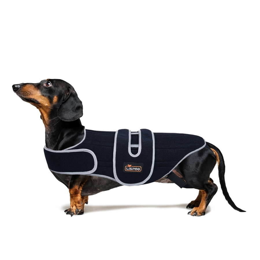 Lispoo Dog Back Brace for IVDD & Spine Support