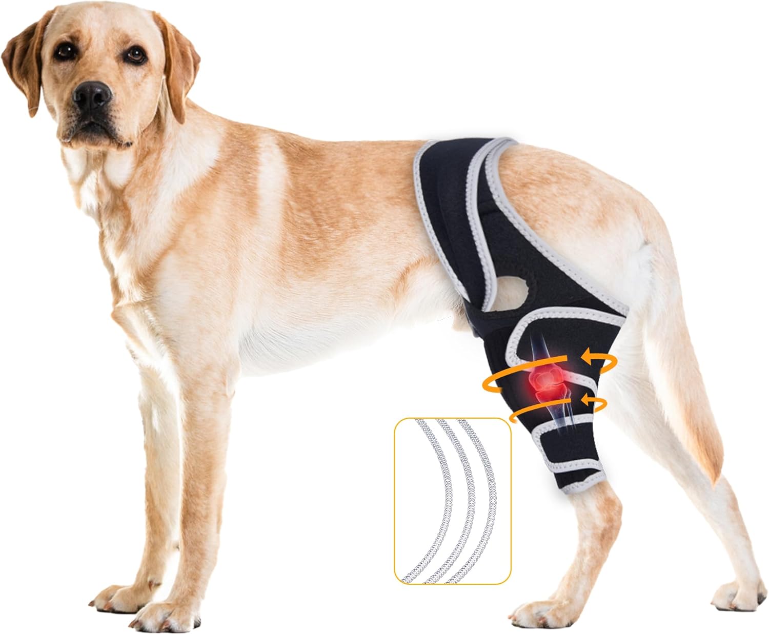 Lispoo Dog Knee Brace for Torn ACL Hind Leg